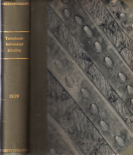 Ilosvay-Gombocz-Szab-Patay - Termszettudomnyi kzlny 1929