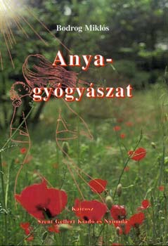 Bodrog Mikls - Anyagygyszat