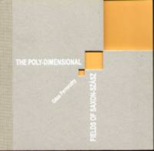 Perneczky Géza - The Poly Dimensional Fields of Saxon-Szász