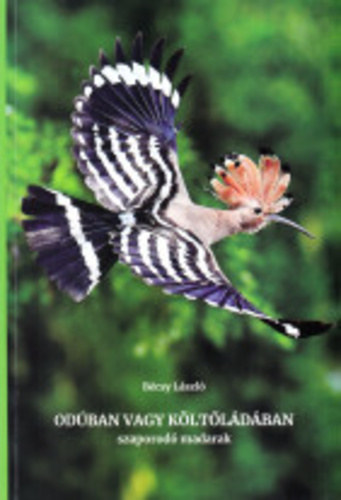 B�csy L�szl� - Od�ban vagy k�lt�l�d�ban - szaporod� madarak