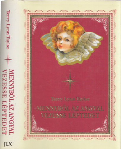 Terry Lynn Taylor - Mennyb�l az angyal vezesse l�ptedet