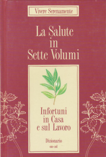 Infortuni in Casa e sul Lavoro (Hztartsi balesetek - olasz nyelv)