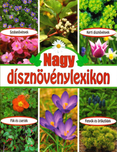 Nagy dísznövénylexikon