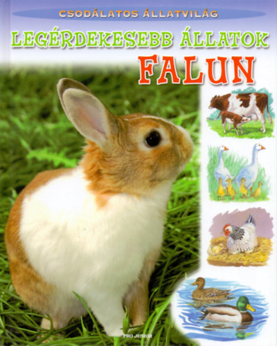 John Dillow  (ill.) - Legérdekesebb állatok falun