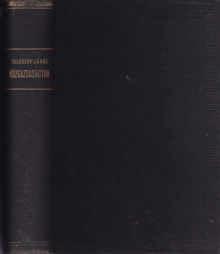 Teleszky János - Közgazdaságtan