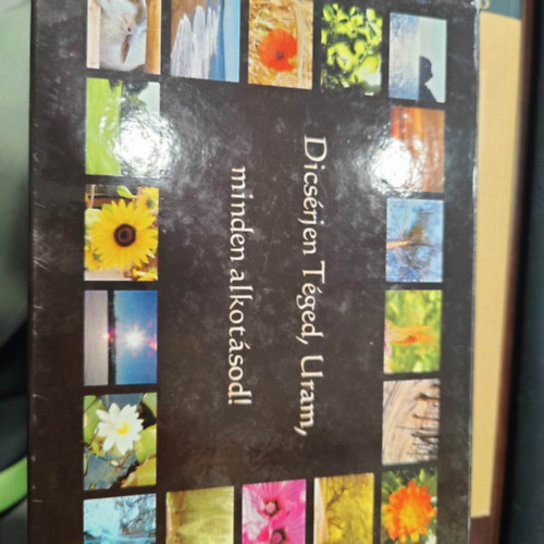 Dics�rjen T�ged, Uram, minden alkot�sod! K�rty�k, tokban