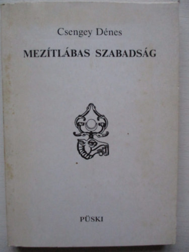 Csengey D�nes - Mez�tl�bas szabads�g