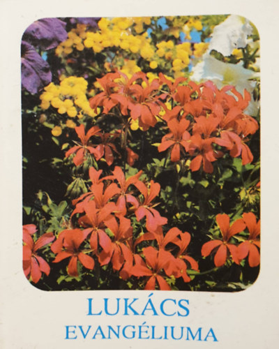 Az Evangélium Lukács szerint (minikönyv)