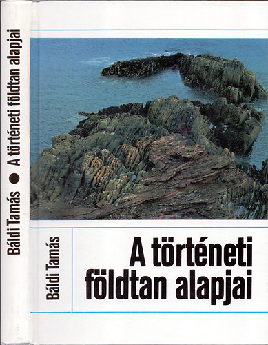 Bldi Tams - A trtneti fldtan alapjai