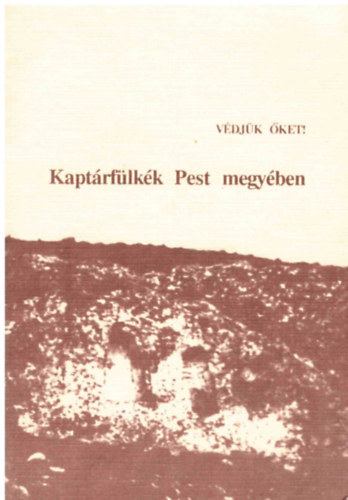 Dr. Balázs István; Dr. Halász Árpád - Kaptárfülkék Pest megyében
