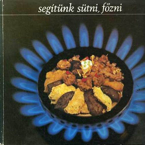 Segtnk stni, fzni