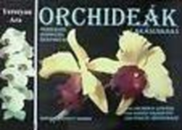 Yerecyan Ara - Orchide�k lak�sunkban