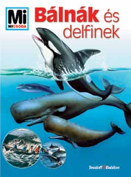 Petra Deimer - Mi micsoda? - Blnk s delfinek