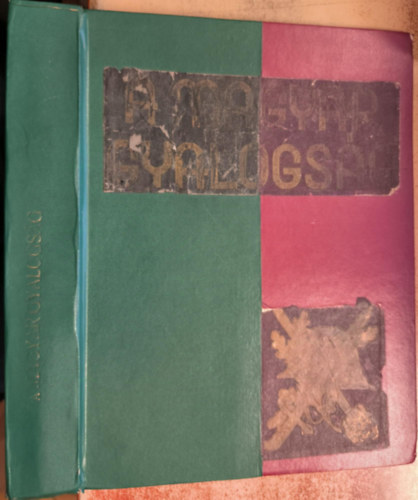 Doromby József vitéz- Reé László (szerk) - A magyar gyalogság (A magyar gyalogos katona története)