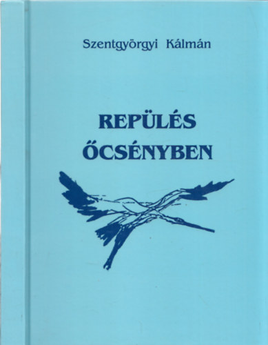 Szentgyrgyi Klmn - Repls csnyben