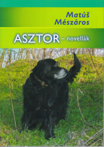 Mat Mszros - Asztor-novellk