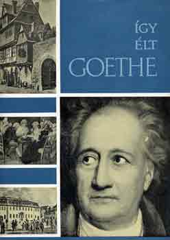 Walk Gyrgy - gy lt Goethe