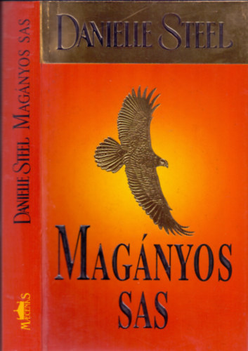 Danielle Steel - Mag�nyos sas