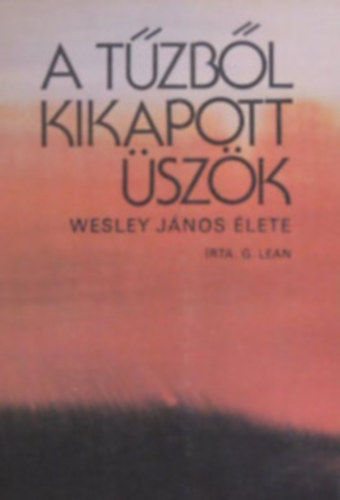 Garth Lean - A t�zb�l kikapott �sz�k - Wesley J�nos �lete