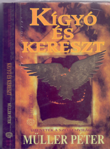 M�ller P�ter - K�gy� �s kereszt     - Reinkarn�ci� a gyakorlatban