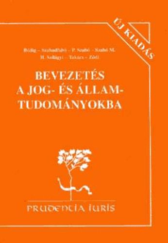 B�dig-Szabadfalvi-P. Szab� - Bevezet�s a jog- �s �llamtudom�nyokba