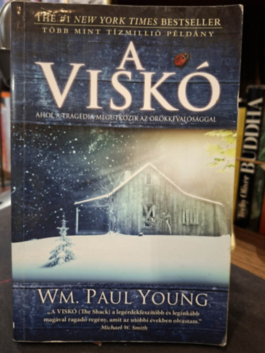 Wm. Paul Young - A visk�