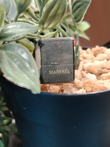 Marxról (minikönyv)