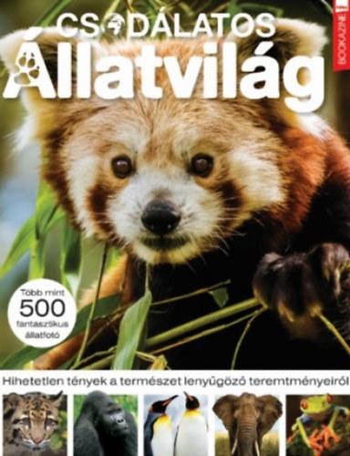 Csodálatos állatvilág