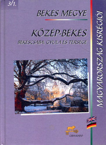 Dr. Kasza Sndor (fszerk.) - Bks megye - Kzp-Bks (Bkscsaba, Gyula s trsge)