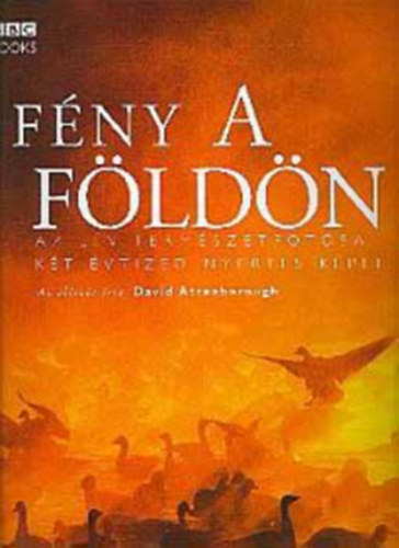 Alexandra Kiad� - F�ny a F�ld�n