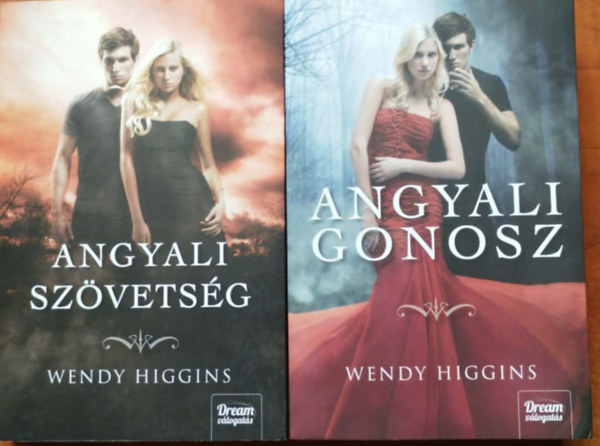 Wendy Higgins - 2db Wendy Higgins k�nyv : Angyali gonosz + Angyali sz�vets�g