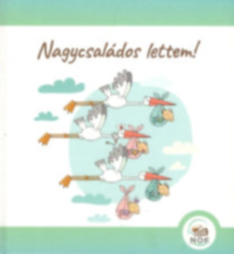 Vida M�rta  (Szerk.) - Nagycsal�dos lettem!