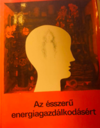 Ndasdi Annamria  (szerk.) Moldovn Tams (szerk.) - Az sszer energiagazdlkodsrt