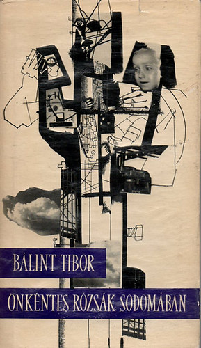 B�lint Tibor - �nk�ntes r�zs�k Sodom�ban