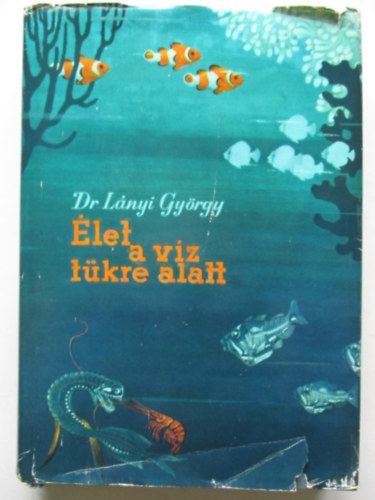 Dr. Lányi György - Élet a víz tükre alatt