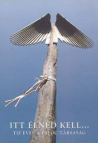 Itt �lned kell... T�z �ves a Pal�c T�rsas�g