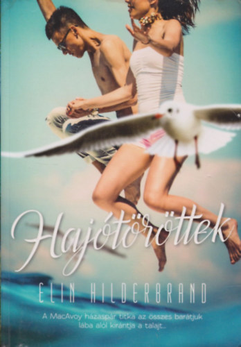 Elin Hilderbrand - Hajótöröttek