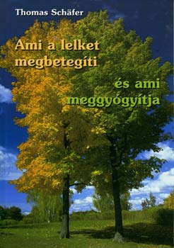 Thomas Schäfer - Ami a lelket megbetegíti és ami meggyógyítja