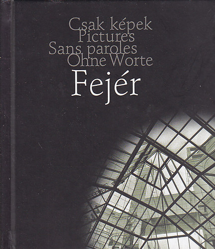 Fejr Gbor - Fekete-Fejr Budapest (Csak kpek) (magyar/angol/francia/nmet)