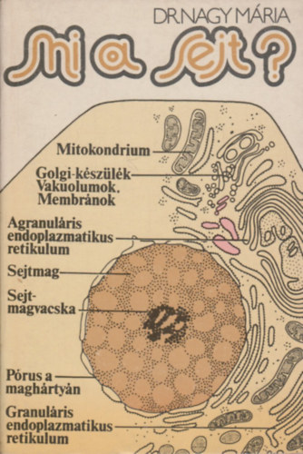 Dr. Nagy M�ria - Mi a sejt?