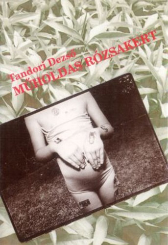 Tandori Dezs� - M�holdas r�zsakert
