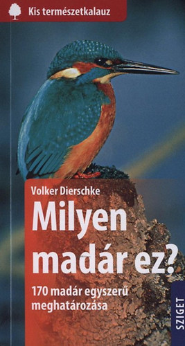 Volker Dierschke - Milyen madr ez?