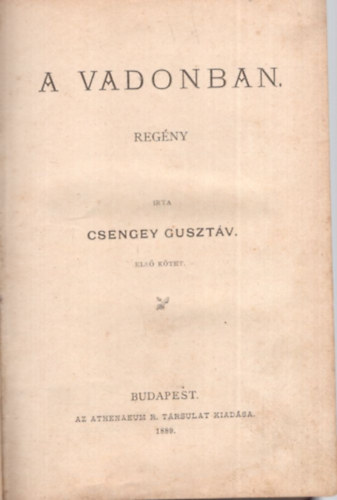 Csengey Gusztv - A vadonban I. ktet