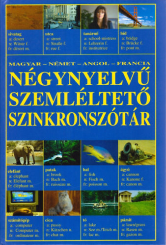 Négynyelvű szemléltető szinkronszótár (Magyar-német-angol-francia)
