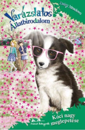 Daisy Meadows - Varázslatos állatbirodalom 10. - Kóci nagy meglepetése