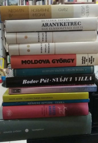 Kepes András, Nemere István, Erdős Renée, Balatoni Bendegúz, Bodor Pál, Hunyady Sándor, Moldova György, Benedek István, Németh László Konrád György - 11 db-os KÖNYVMENTŐ AJÁNLAT tizenkét kötetben, próza: Vendégkönyv+ Kepes András válogatása fiatal magyar írók novelláiból+ Terra+ Lavinia Tarsin házassága+ Remancipáció+ Svájci villa+ Géza és Dusán+ Gázlámpák alatt/Az idegen