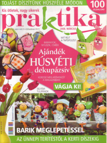 Praktika 2008. mrcius - XII.vf. 3. szm.