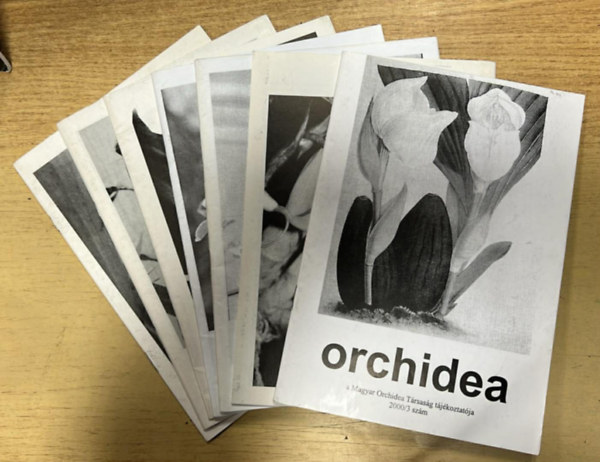 7 db Orchidea - A Magyar Orchidea Társaság tájékoztatója