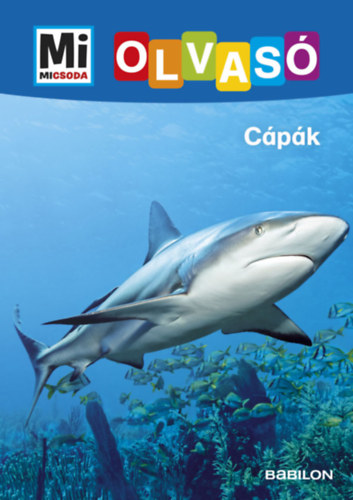 Christina Braun - C�p�k