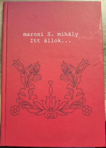 Marosi S. Mih�ly - Itt �llok...